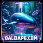 baleiapg Mega v3.5.5