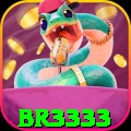 br3333 - Slots Pro